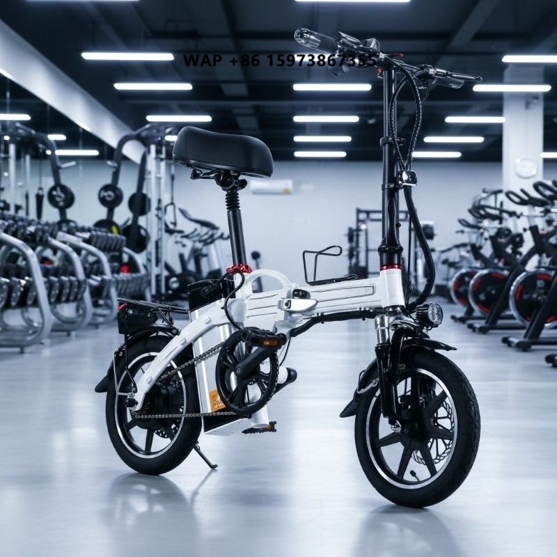 Mini Folding Electric Bike Fac - Commuter Biking review and price