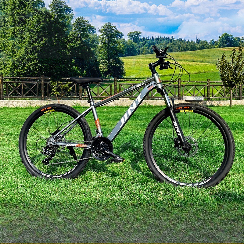 Wholesale Aluminum Alloy 26 In - Commuter Biking review and price